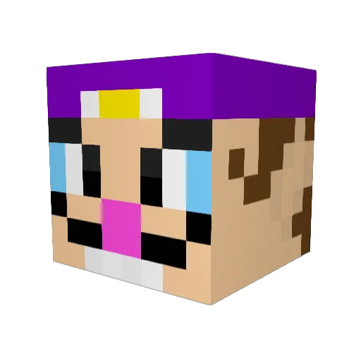 jellyjoop Minecraft avatar head, 3D render