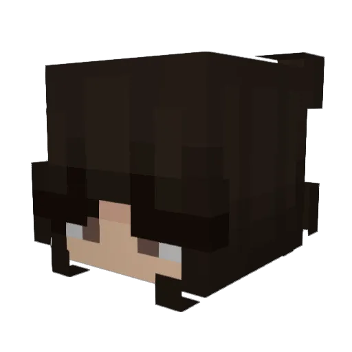 jellypoops Minecraft avatar head, 3D render