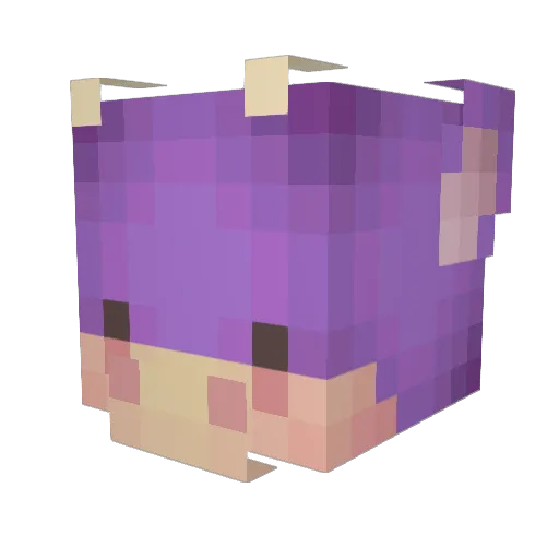 jellyyfishh Minecraft avatar head, 3D render