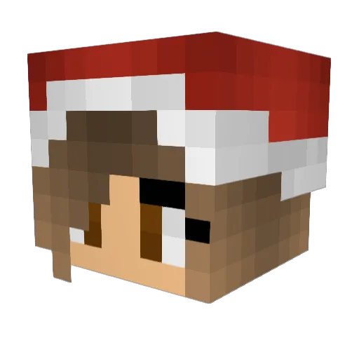 jem100 Minecraft avatar head, 3D render