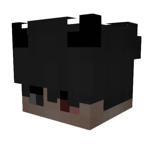 jemiolek2 Minecraft avatar head, 3D render