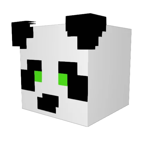 jemoedr69 Minecraft avatar head, 3D render