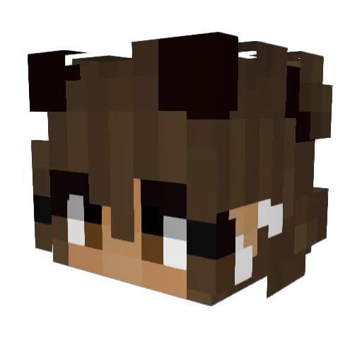 jenelli Minecraft avatar head, 3D render