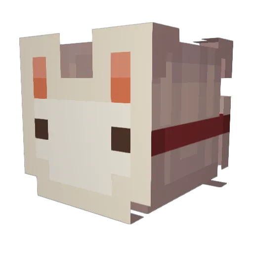 jenhehe Minecraft avatar head, 3D render