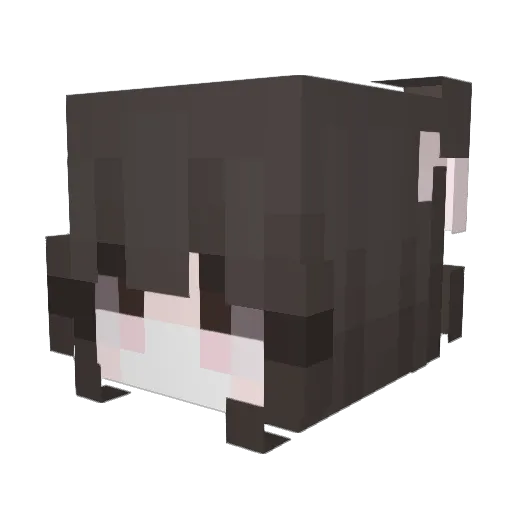 jenlovess Minecraft avatar head, 3D render