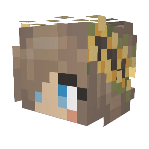 jennaaleee Minecraft avatar head, 3D render