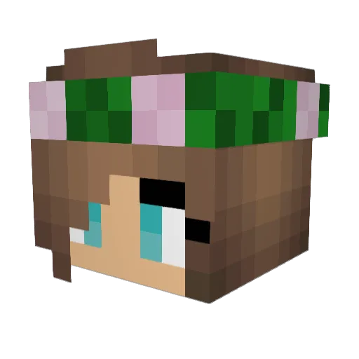 jennaapenna Minecraft avatar head, 3D render