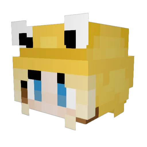 jennarainy Minecraft avatar head, 3D render