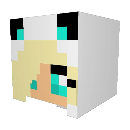 jennaveve Minecraft avatar head, 3D render