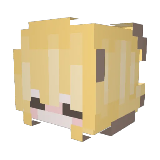 jennayowo Minecraft avatar head, 3D render