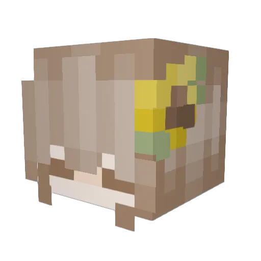 jenniejam Minecraft avatar head, 3D render