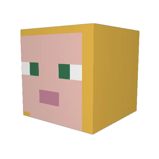 jennifer54321 Minecraft avatar head, 3D render