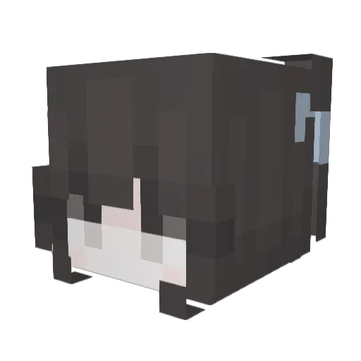 jennifiree Minecraft avatar head, 3D render