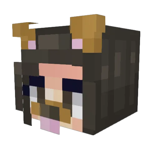 jennlmao Minecraft avatar head, 3D render