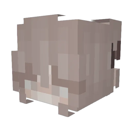 jennnnn03 Minecraft avatar head, 3D render