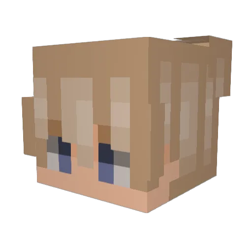 jennocado Minecraft avatar head, 3D render