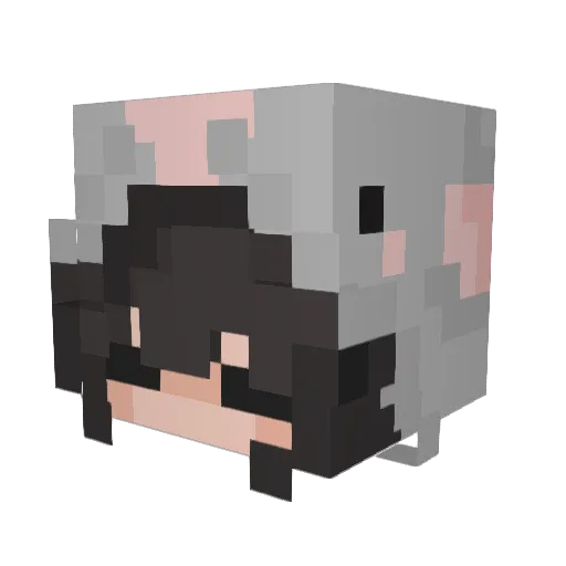 jenny236 Minecraft avatar head, 3D render