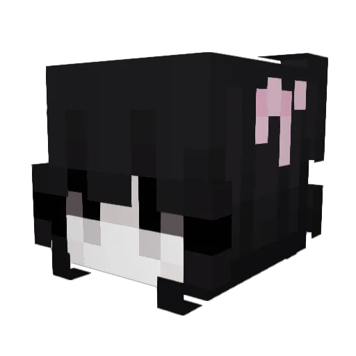 jennyq12 Minecraft avatar head, 3D render