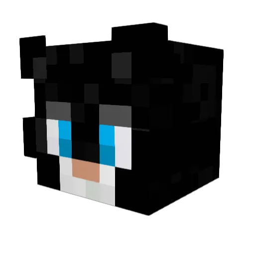 jennys_me Minecraft avatar head, 3D render