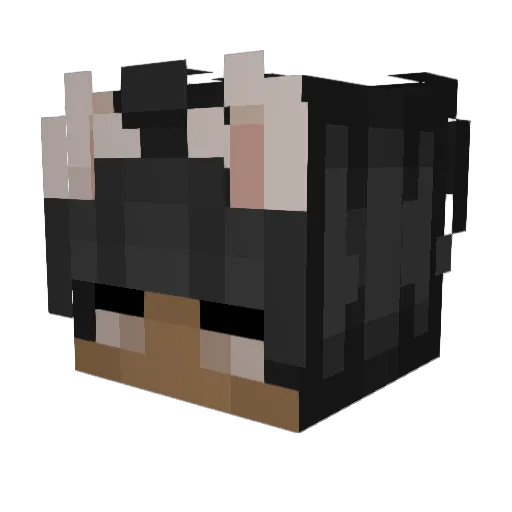 jenosaxe Minecraft avatar head, 3D render