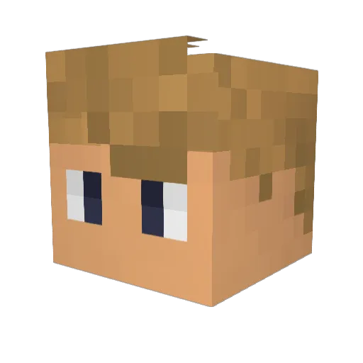 jens100 Minecraft avatar head, 3D render
