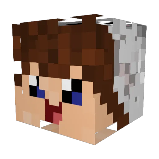 jens_HD1 Minecraft avatar head, 3D render