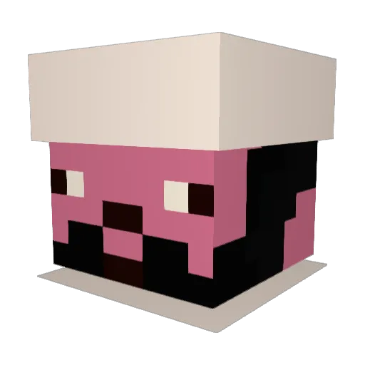 jensmensflens Minecraft avatar head, 3D render