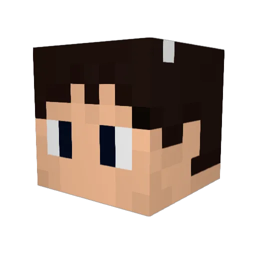 jenspin99 Minecraft avatar head, 3D render