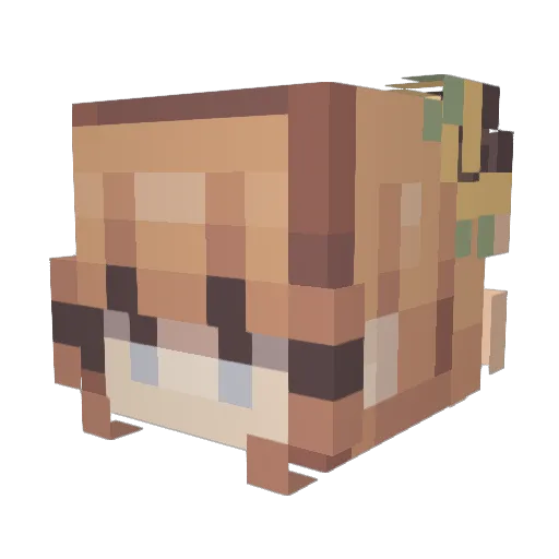 jenx03 Minecraft avatar head, 3D render
