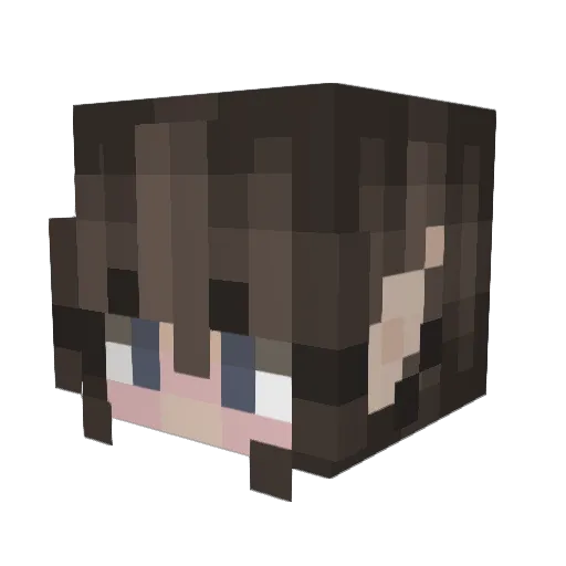 jenysere Minecraft avatar head, 3D render