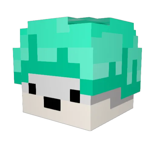 jeongcheul Minecraft avatar head, 3D render