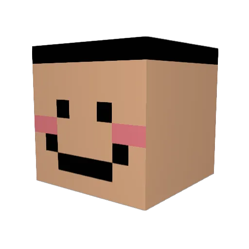 jeonging07 Minecraft avatar head, 3D render