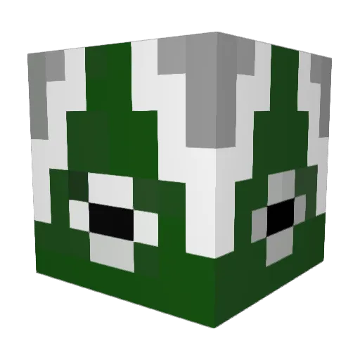 jer3my765 Minecraft avatar head, 3D render