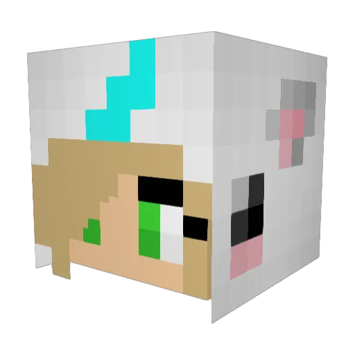 jeramiethomas Minecraft avatar head, 3D render