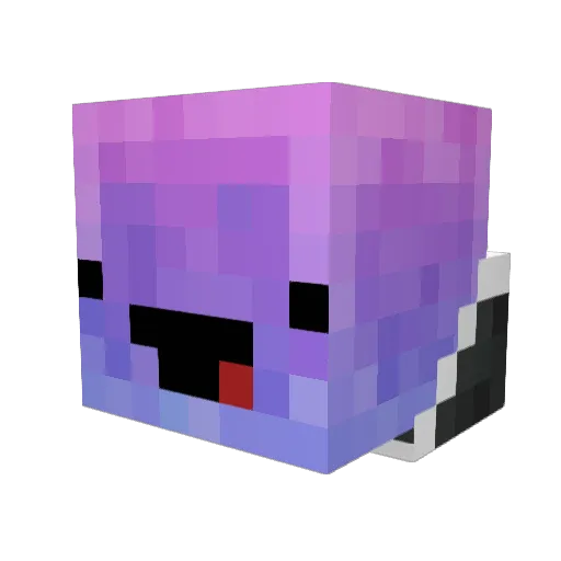 jeremy2205 Minecraft avatar head, 3D render