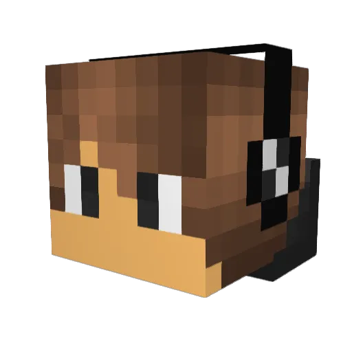 jeremycraft124 Minecraft avatar head, 3D render