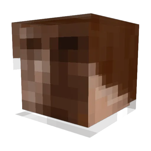 jeremytekz Minecraft avatar head, 3D render