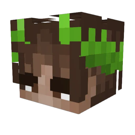 jerenasi Minecraft avatar head, 3D render