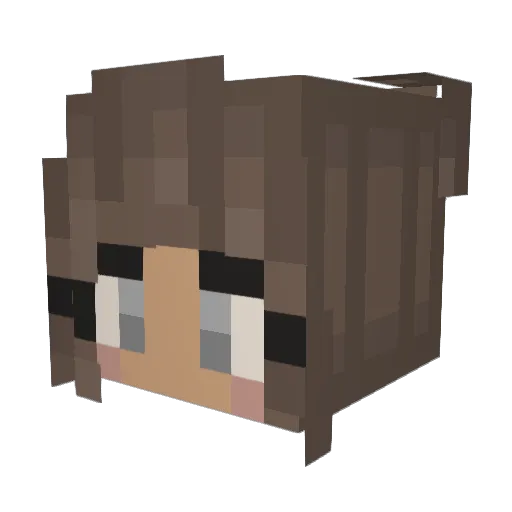 jeribidnka Minecraft avatar head, 3D render