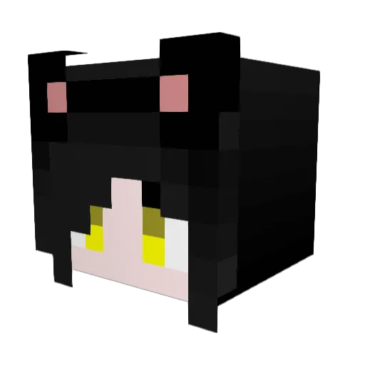 jerjermaster Minecraft avatar head, 3D render
