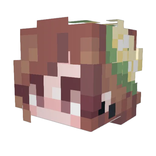 jeromycar Minecraft avatar head, 3D render