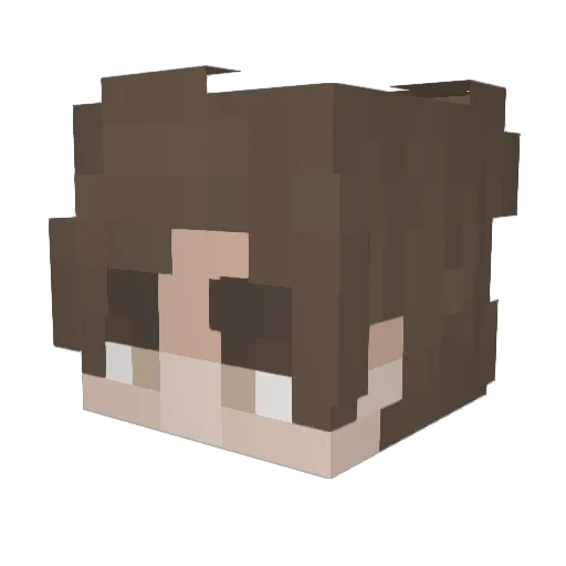 jeronimosneezit Minecraft avatar head, 3D render