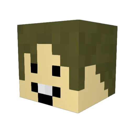 jerrett7 Minecraft avatar head, 3D render