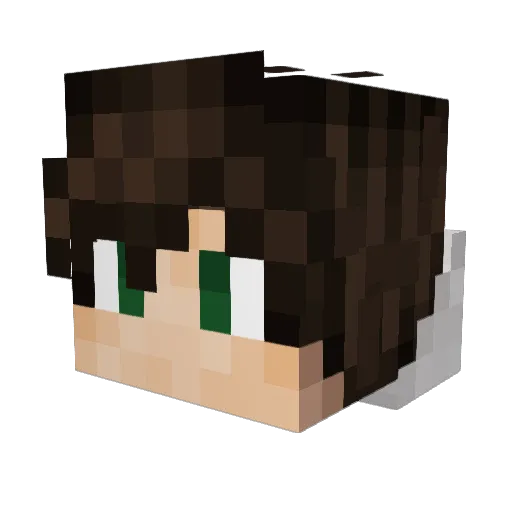 jerry3027 Minecraft avatar head, 3D render