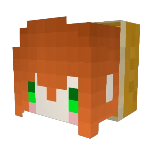 jerry515053 Minecraft avatar head, 3D render