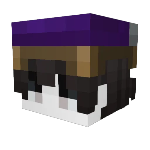 jerry_awesome24 Minecraft avatar head, 3D render