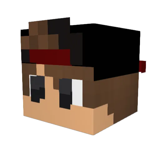 jerrymeister Minecraft avatar head, 3D render