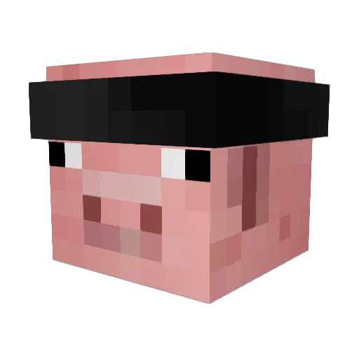jerryscuti Minecraft avatar head, 3D render