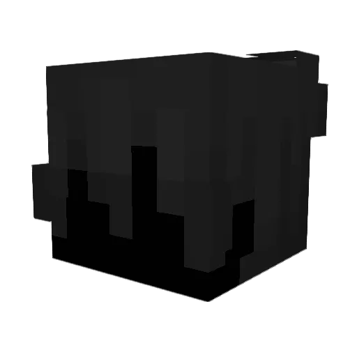 jersie4 Minecraft avatar head, 3D render