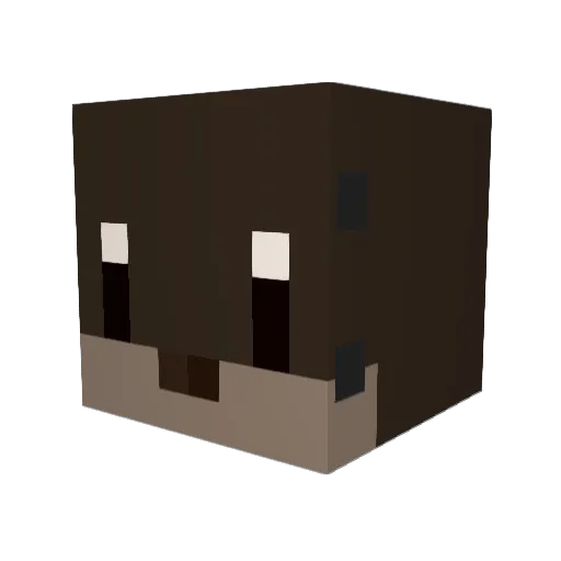 jerth_ Minecraft avatar head, 3D render